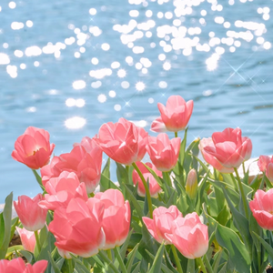 古风江湖-师娘的妥协
